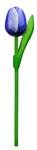 ▸Kleine tulp op steel - 20 cm