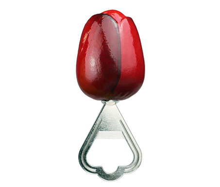 ▸830.xxxx.110 | Grote tulp flesopener - 11 cm