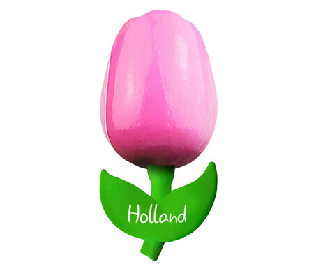 ▸825.xxxx.06 | Kleine tulp magneet - 6cm