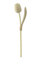 Große Tulpe auf Stiel - 34 cm - geschliffen.