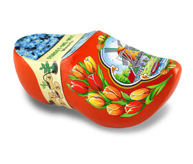 Bloemen klomp - 10 cm - oranje - Vergeet-me-niet
