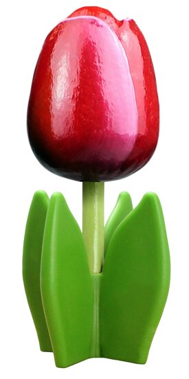 Grote tulp op blad - 14 cm - rood wit