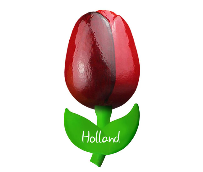 Kleine tulp magneet - 6 cm - rood aubergine - Holland