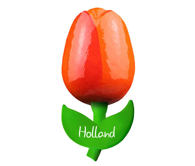 Kleine tulp magneet - 6 cm - oranje rood - Holland