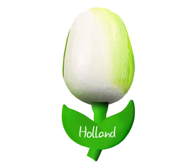 Kleine tulp magneet - 6 cm - wit groen - Holland