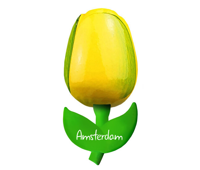Kleine tulp magneet - geel groen - Amsterdam - 6 cm