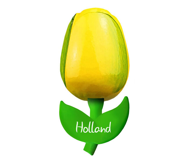Kleine tulp magneet - geel groen - Holland - 6 cm
