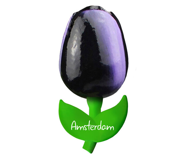 Kleine tulp magneet - aubergine wit - Amsterdam - 6 cm