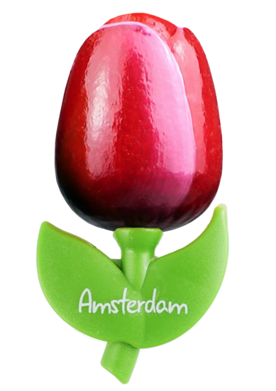 Grote tulp magneet - 9 cm - rood wit - Amsterdam