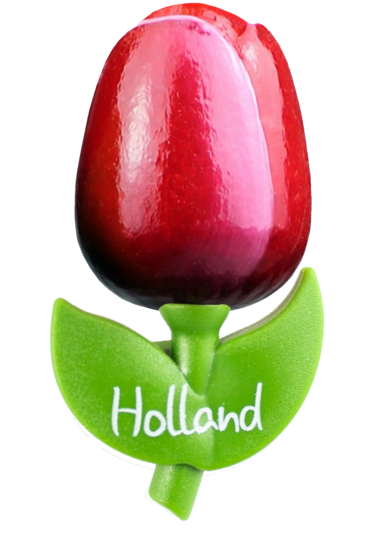 Grote tulp magneet - 9 cm - rood wit - Holland