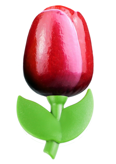Grote tulp magneet - 9 cm - rood wit
