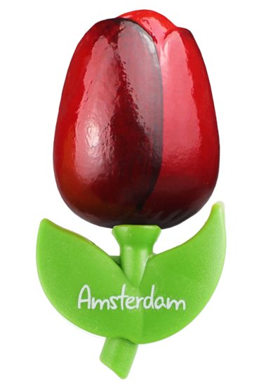 Grote tulp magneet - 9 cm - rood aubergine - Amsterdam