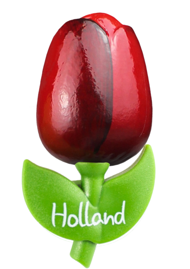 Grote tulp magneet - 9 cm - rood aubergine - Holland