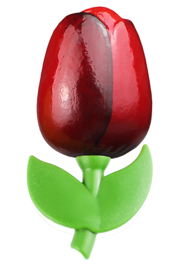 Grote tulp magneet - 9 cm - rood aubergine