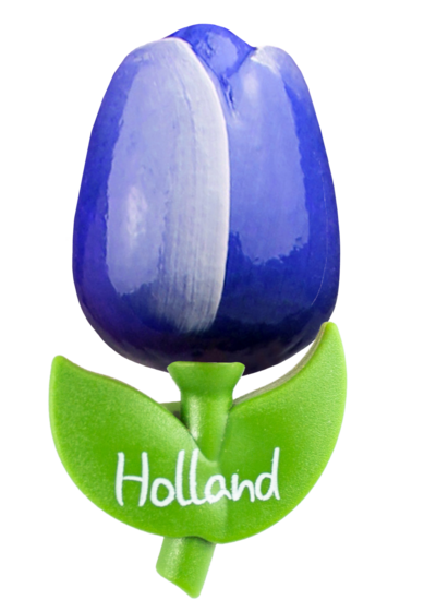 Grote tulp magneet - 9 cm - blauw wit -Holland