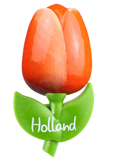 Grote tulp magneet - 9 cm - oranje wit -Holland