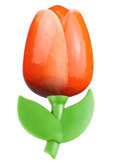 Grote tulp magneet - 9 cm - oranje wit