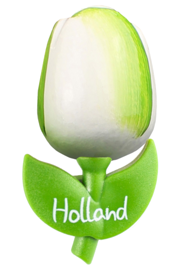 Grote tulp magneet - 9 cm - wit groen - Holland