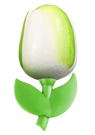 Grote tulp magneet - 9 cm - wit groen