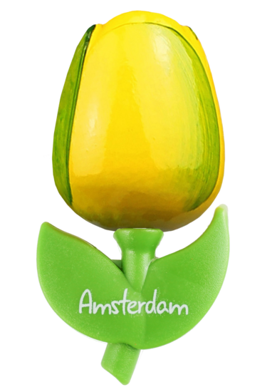 Grote tulp magneet - geel groen - Amsterdam - 9 cm
