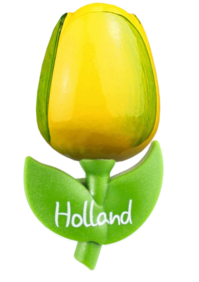 Grote tulp magneet - geel groen - Holland - 9 cm