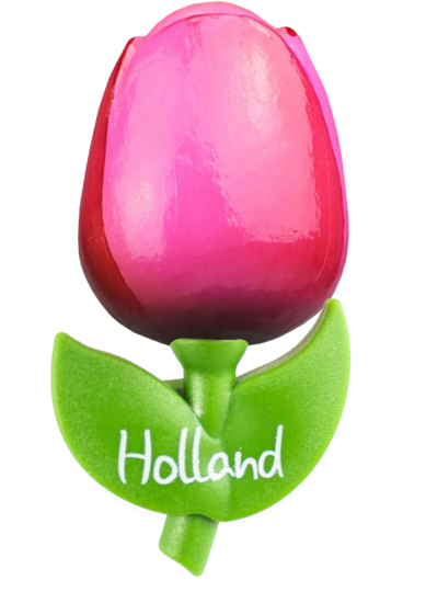 Grote tulp magneet - roze rood - Holland - 9 cm