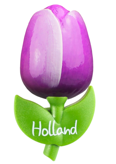 Grote tulp magneet - paars wit - Holland - 9 cm