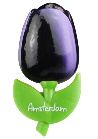 Grote tulp magneet - aubergine wit - Amsterdam - 9 cm