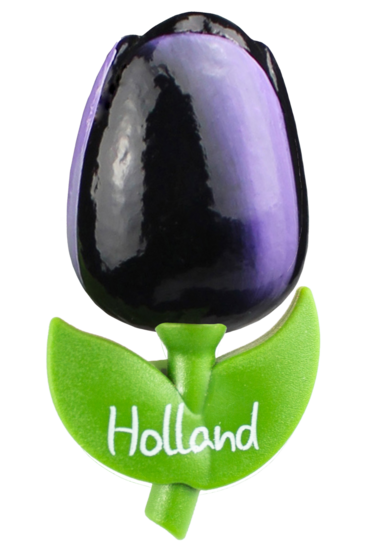 Grote tulp magneet - aubergine wit - Holland - 9 cm