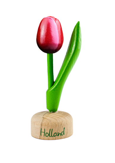 Kleine tulp op voet - 8 cm - rood wit - Holland