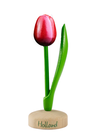 Grote tulp op voet - 20 cm - rood wit - Holland