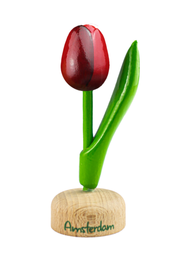 Kleine tulp op voet - 8 cm - rood aubergine - Amsterdam