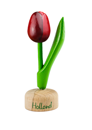 Kleine tulp op voet - 8 cm - rood aubergine -Holland
