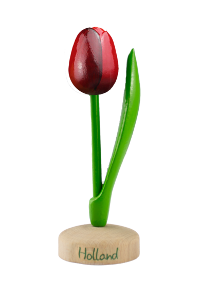 Grote tulp op voet - 20 cm - rood aubergine - Holland