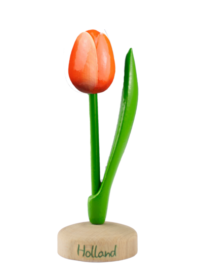 Grote tulp op voet - 20 cm - oranje wit -Holland
