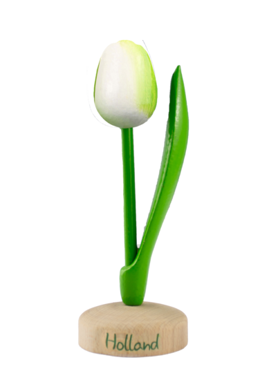 Grote tulp op voet - 20 cm - wit groen - Holland