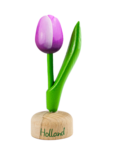Kleine tulp op voet - 8 cm - paars wit - Holland