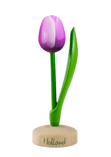 Grote tulp op voet - 20 cm - paars wit - Holland