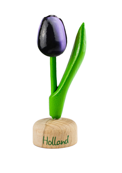 Kleine tulp op voet - 8 cm - aubergine wit - Holland