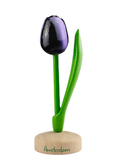 Grote tulp op voet - 20 cm - aubergine wit - Amsterdam