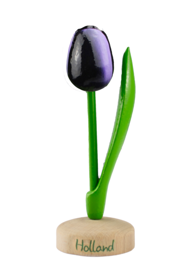 Grote tulp op voet - 20 cm - aubergine wit - Holland