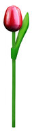 Kleine tulp op steel - 20 cm - rood wit