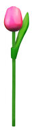 Kleine tulp op steel - 20 cm - roze rood