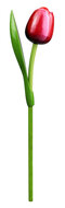 Grote tulp op steel - 34 cm - rood wit