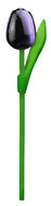 Kleine tulp op steel - 20 cm - aubergine wit