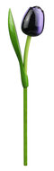 Grote tulp op steel - 34 cm - aubergine wit