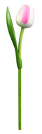Grote tulp op steel - 34 cm - wit roze