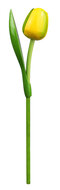 Grote tulp op steel - 34 cm - geel groen