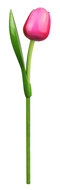 Grote tulp op steel - 34 cm - roze rood