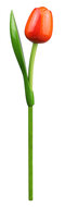 Grote tulp op steel - 34 cm - oranje rood